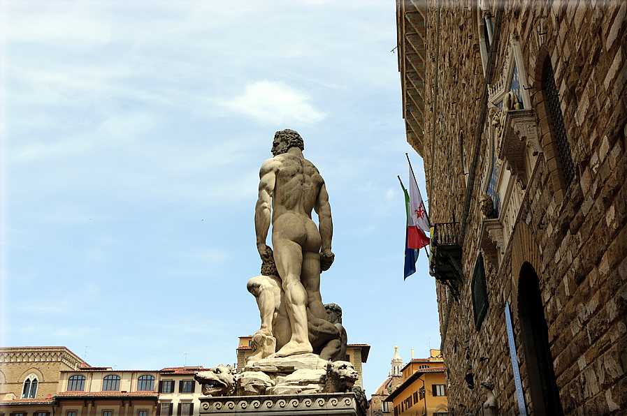 foto Piazza della Signoria